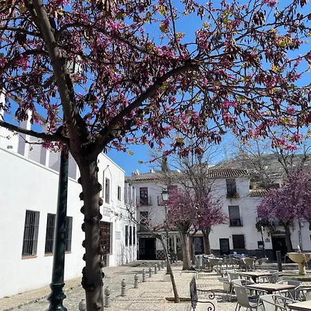 Aparthotel El Patio Del Albaicin Granada